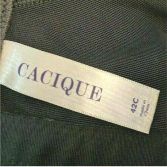 Lane Bryant Cacique Bra Smooth Satin Full Coverage Mesh U/W Size 42C Black - Picture 3 of 7